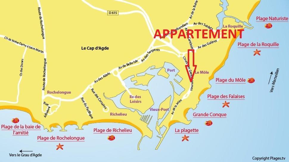 شقة Cap D'Agde 300M Plage Du Mole,Vue Port,Parking,Lave Linge,Piscine المظهر الخارجي الصورة