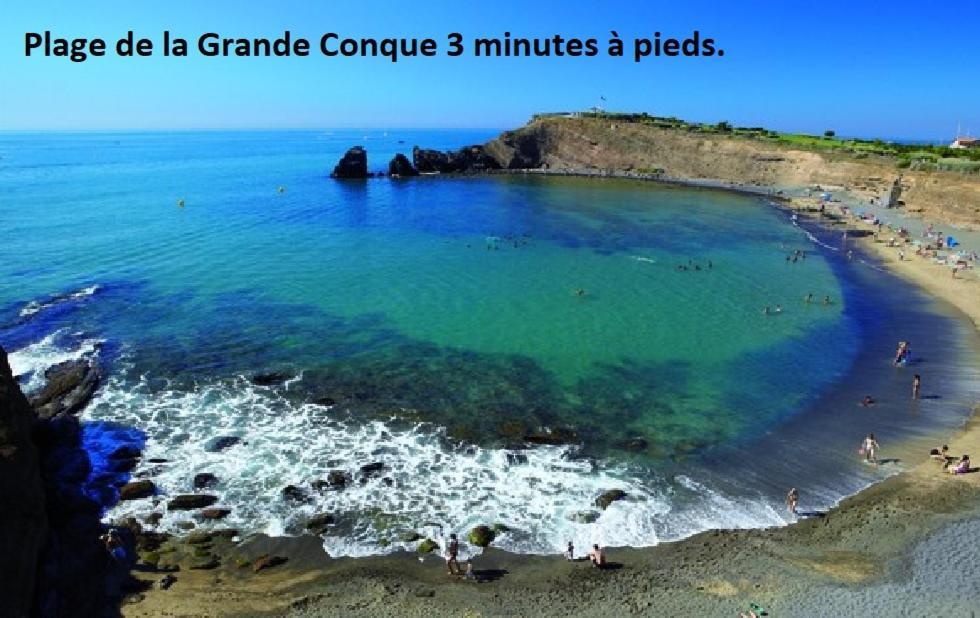 شقة Cap D'Agde 300M Plage Du Mole,Vue Port,Parking,Lave Linge,Piscine المظهر الخارجي الصورة