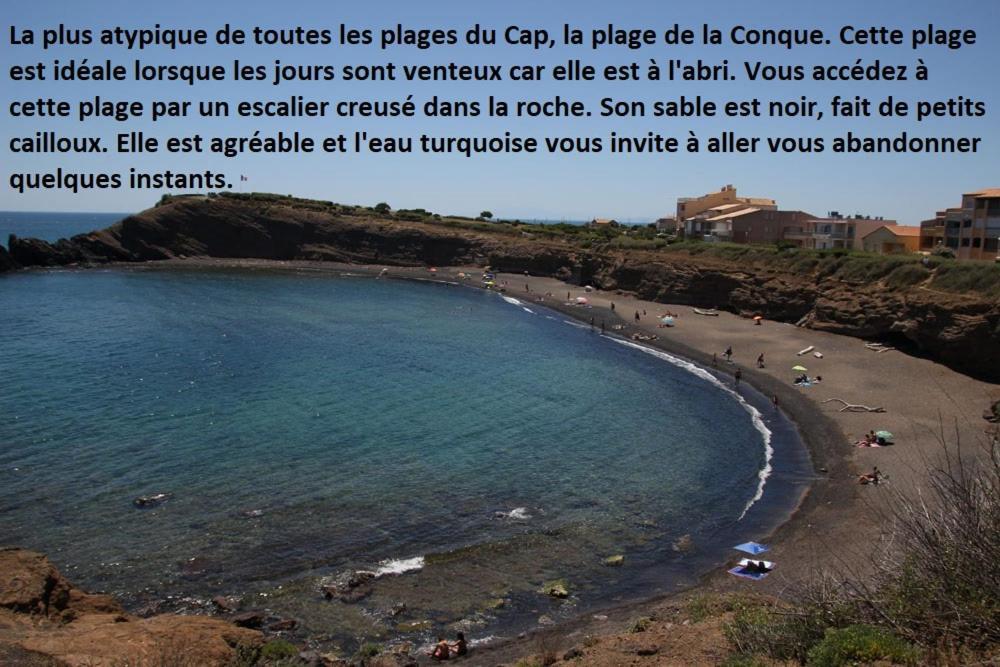 شقة Cap D'Agde 300M Plage Du Mole,Vue Port,Parking,Lave Linge,Piscine المظهر الخارجي الصورة
